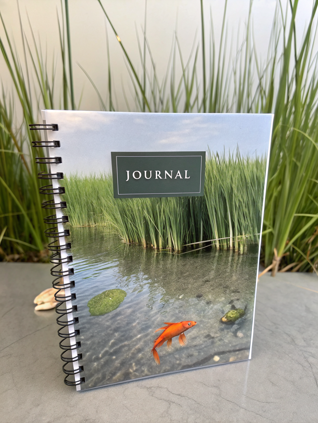 Couverture de Écosystèmes Aquatiques